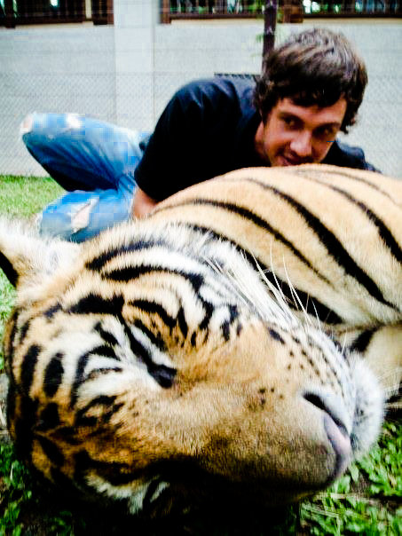 Working with Tigers, Thailand