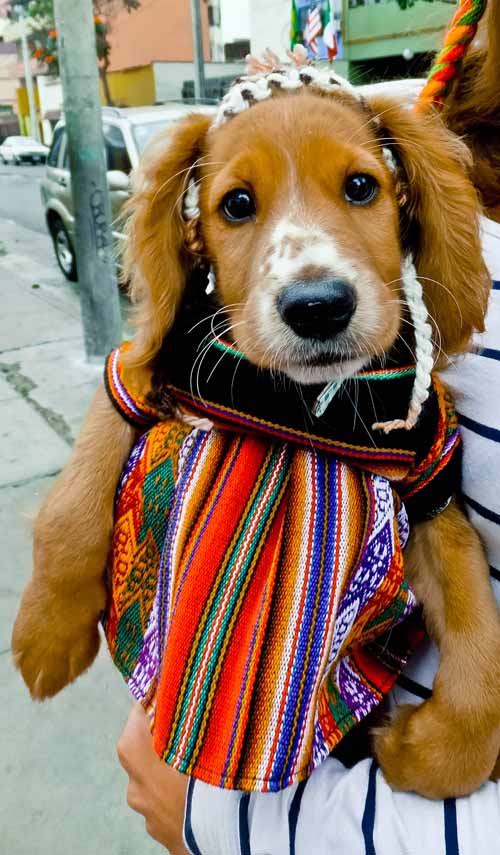 Underneath my traditional Peruvian dress I am a bad ass adventure girl