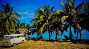 Our beach garden in Belize