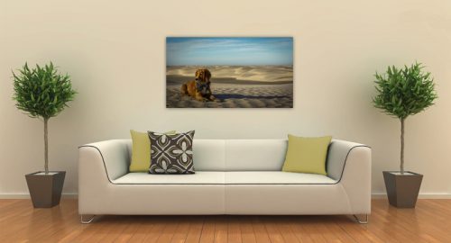Room View - Desert Dog - Canvas Print