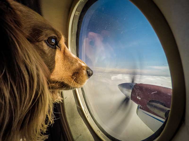 First Flight - Window Seat