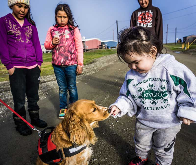 Kaktovik kids meeting a friendly dog for the first time in their lives