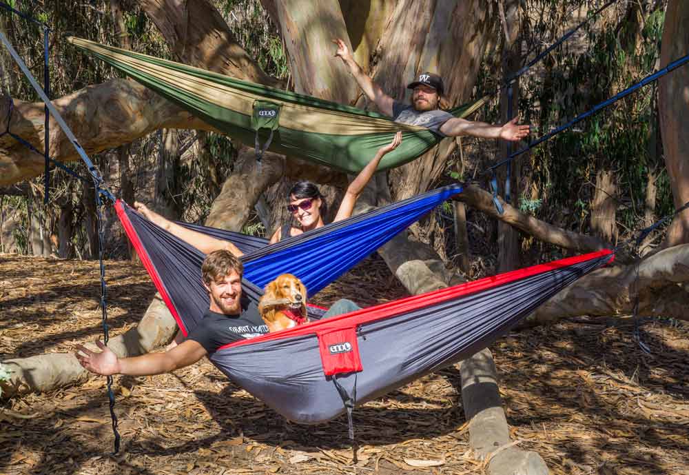 Camping in hammocks