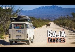 Free Camping in Baja California – Hasta Alaska – S04E08