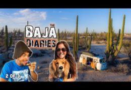 The Baja Diaries get's even better in part 2
