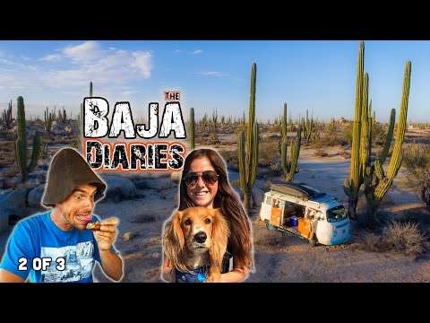 The Baja Diaries