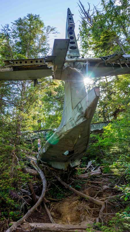 Plane-Crash-British-Columbia