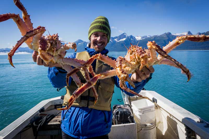 alaska-king-crab