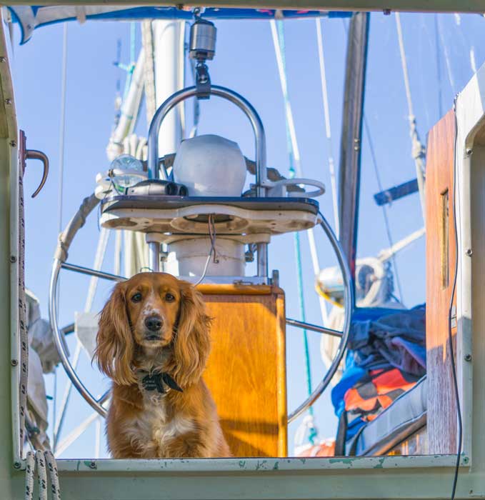 Sailing Pacific Ocean