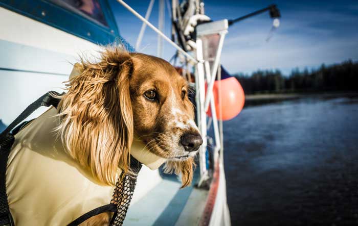 Sailing Alaska