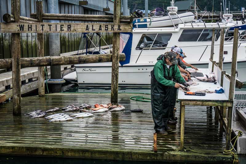 whittier-halibut-fishing-charters-alaska