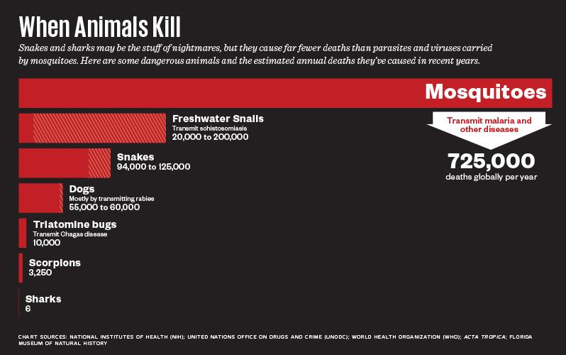 mosquito_killers